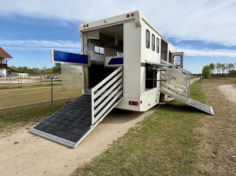 MAN 8.180 Steinsberger paardenwagen, 4-paarden transportwagen met wooncabine, douche, vrachtwagen