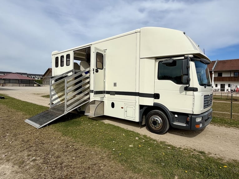 MAN 8.180 Steinsberger paardenwagen, 4-paarden transportwagen met wooncabine, douche, vrachtwagen