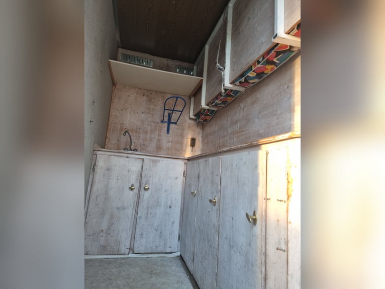 MAN paardentransporter met stallingtent