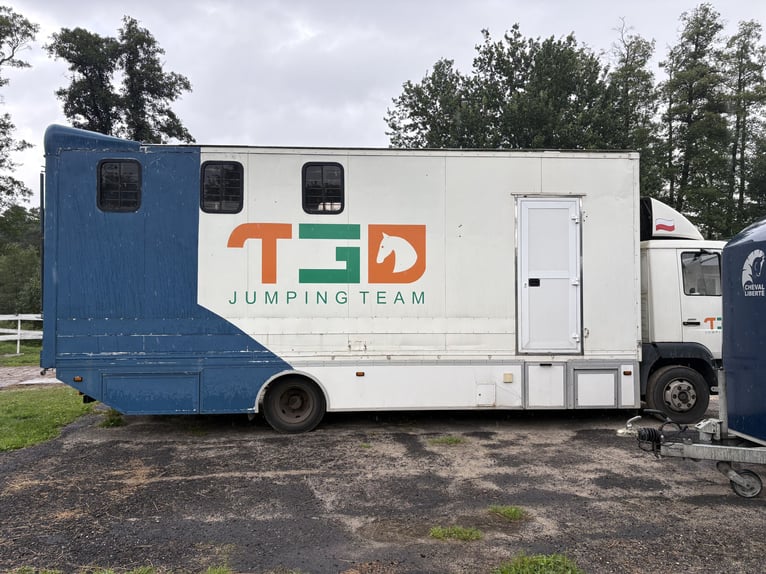 Mannelijk voor 4 paarden