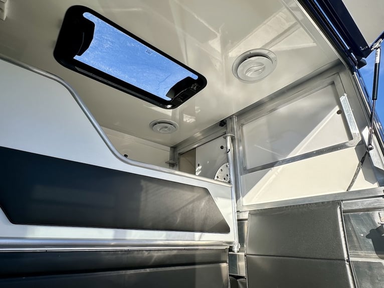 Mercedes-Benz 419 Sprinter 2-paardentrailer RJH Sport 3,5 ton LKW - laatste beschikbare model