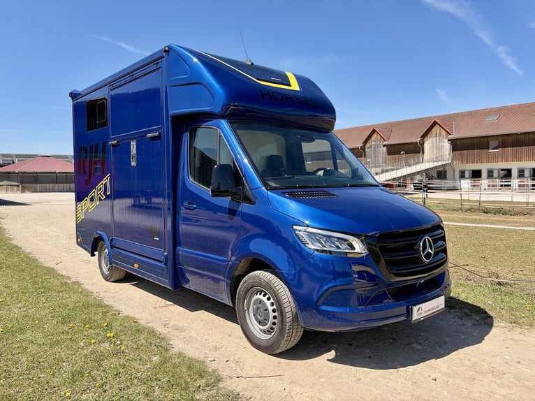 Mercedes-Benz 419 Sprinter 2-paardentrailer RJH Sport 3,5 ton LKW - laatste beschikbare model