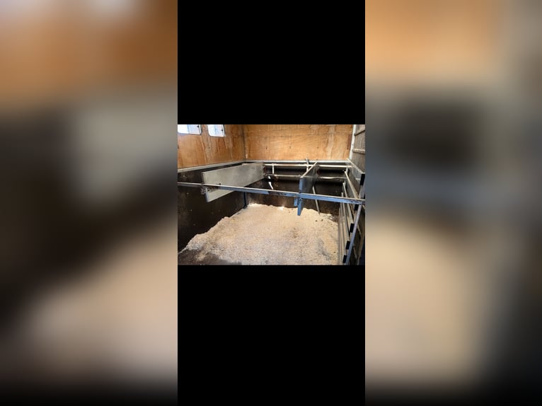 Mercedes-Benz Atego Paardentransporter 7,5 t Paarden IKW