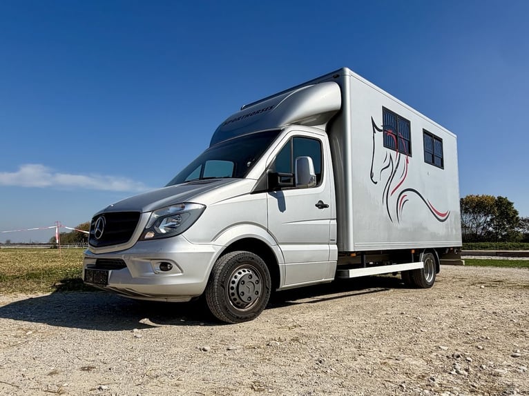 Mercedes-Benz Sprinter 2-paarden transporter met zadelkamer vrachtwagen