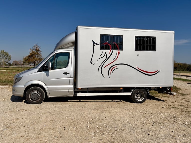Mercedes-Benz Sprinter 2-paarden transporter met zadelkamer vrachtwagen