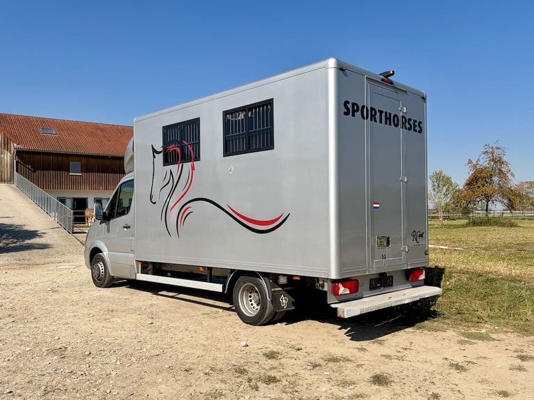 Mercedes-Benz Sprinter 2-paarden transporter met zadelkamer vrachtwagen