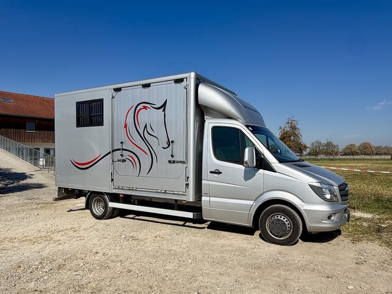 Mercedes-Benz Sprinter 2-paarden transporter met zadelkamer vrachtwagen