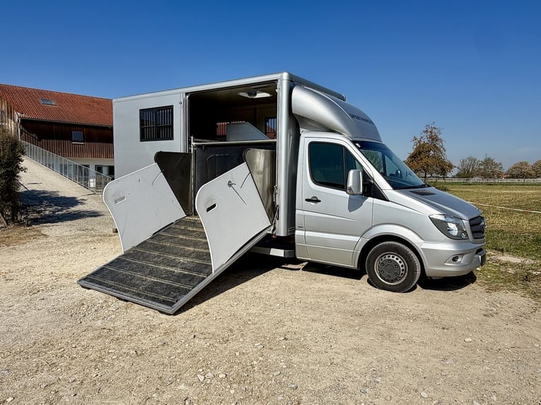 Mercedes-Benz Sprinter 2-paarden transporter met zadelkamer vrachtwagen