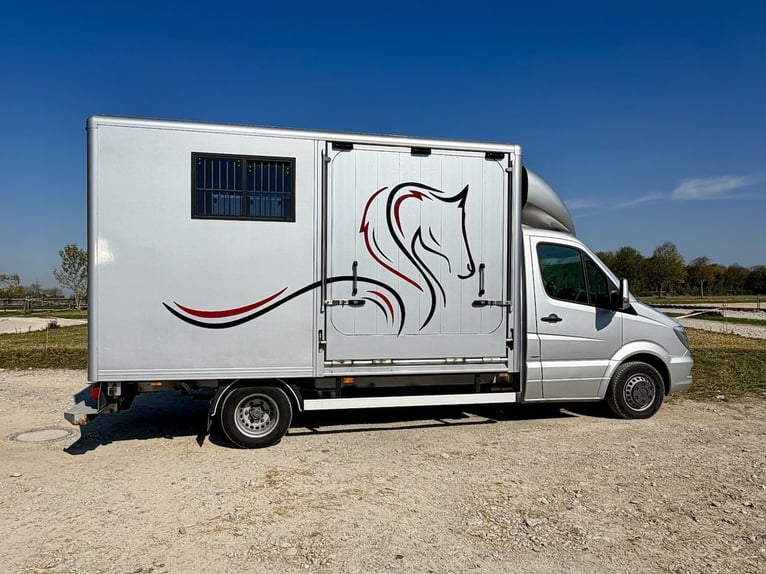 Mercedes-Benz Sprinter 2-paarden transporter met zadelkamer vrachtwagen