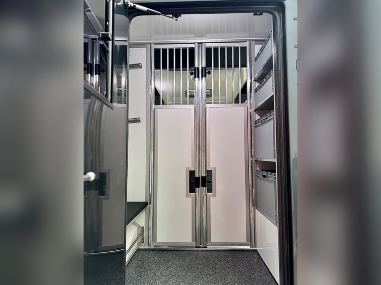 Nieuw model Renault EQUITA 2-paardenwagen met 3-zitters vrachtwagen automaat