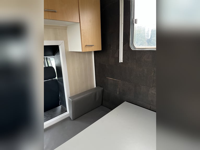 Paarden vrachtwagen 7.5t te koop