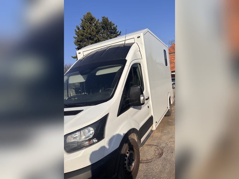 Paardentransporter 2-paards vrachtwagen 3,5 t