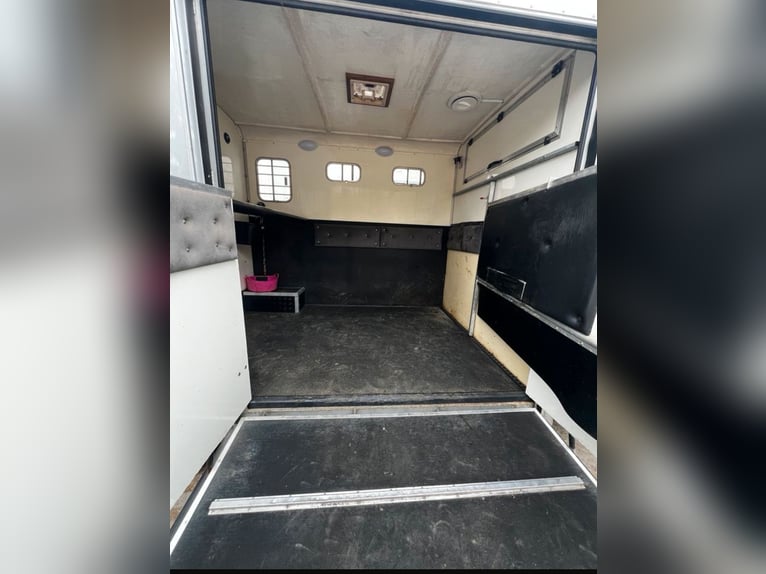 Paardentransporter 3,5 t Peugeot Boxer, slechts 116.200 km gereden