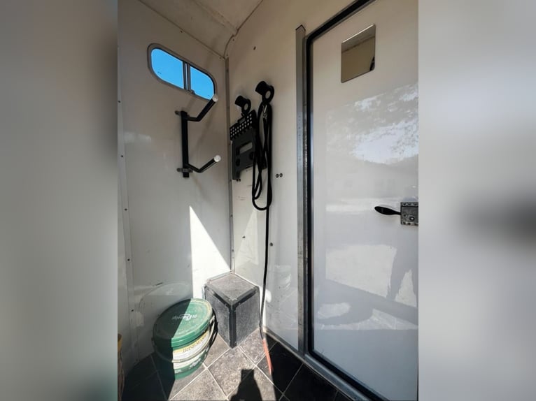 Paardentransporter 3,5 t Peugeot Boxer, slechts 116.200 km gereden