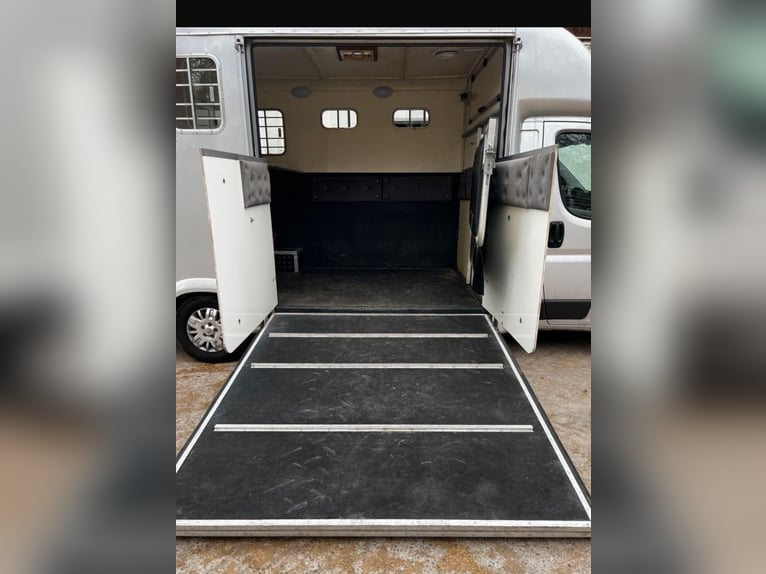 Paardentransporter 3,5 t Peugeot Boxer, slechts 116.200 km gereden
