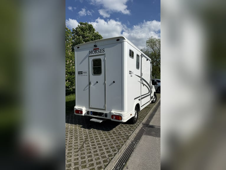 Paardentransporter 3,5 ton