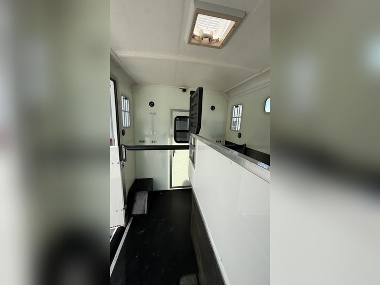 Paardentransporter 3,5 ton