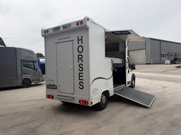 Paardentransporter Citroën, slechts 29.200 km, vee- en dierenambulance, paardenvrachtwagen, Horsevan