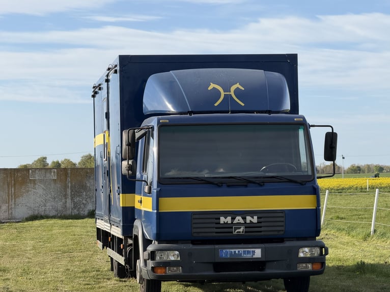 Paardentransporter MAN tot 7,5 ton voor 4 paarden
