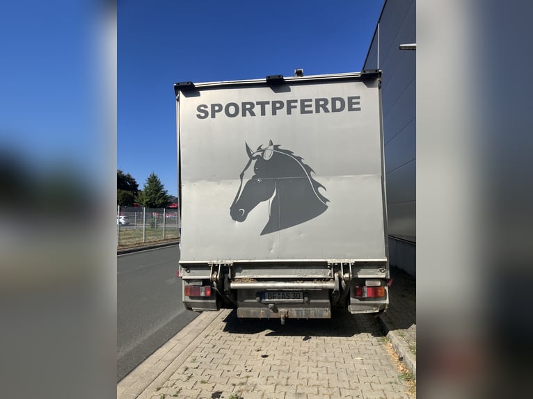 Paardentransporter Mercedes 817 L
