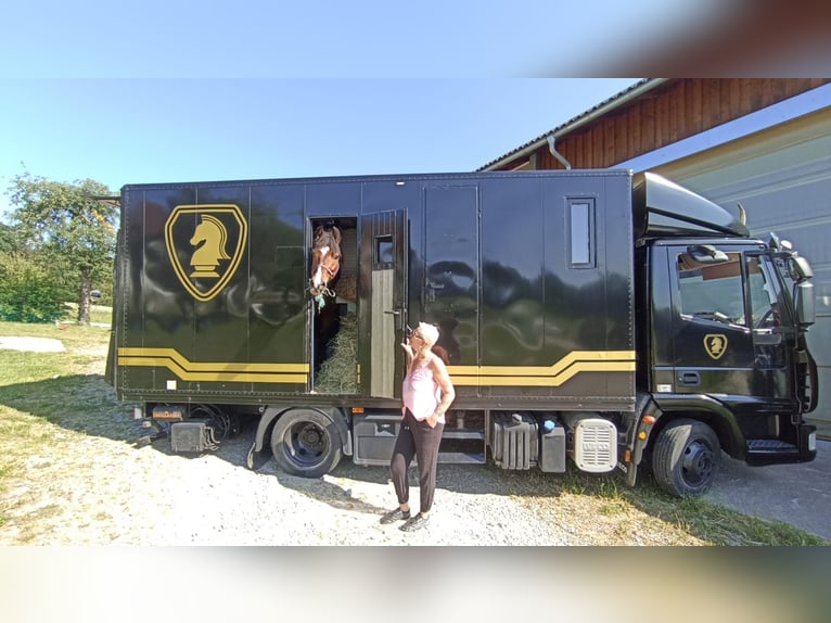 Paardentransporter met woonruimte