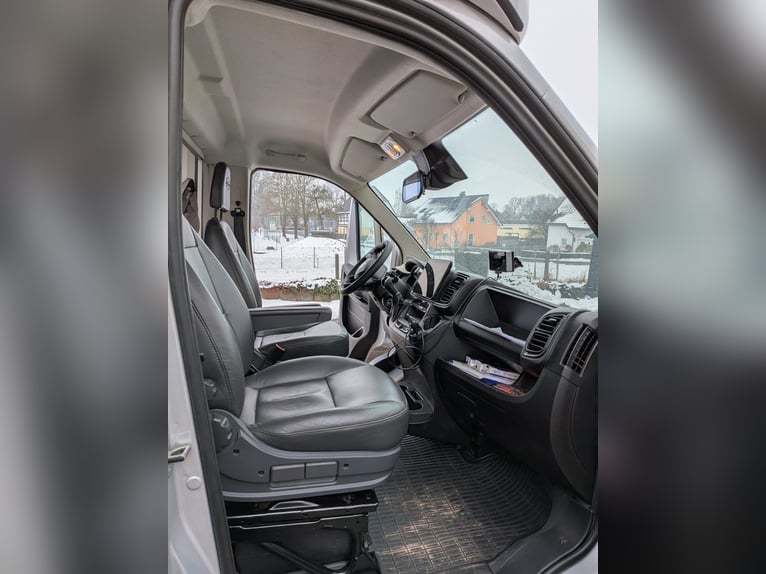 Paardentransporter; Paardenwagen; 5-zits; Compact L Plus