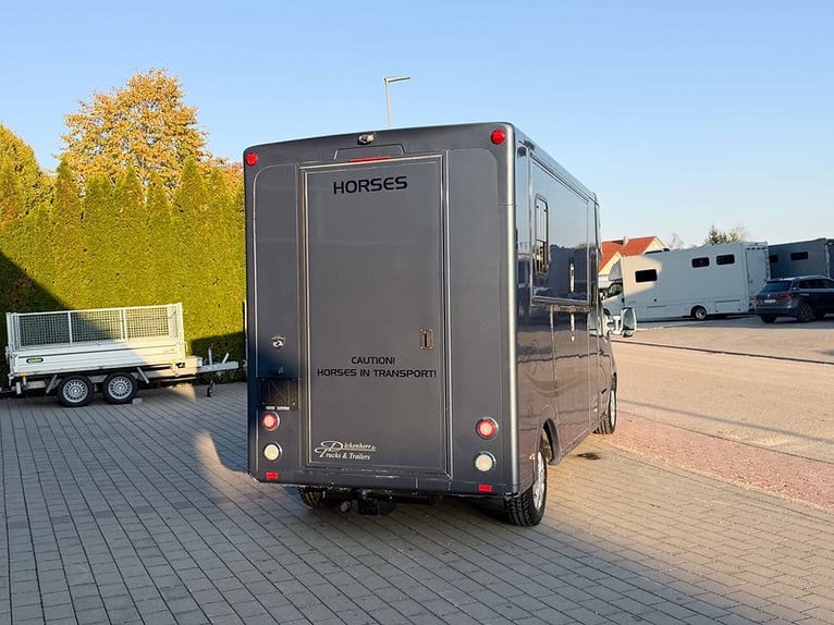 Paardentransporter voor 5 personen Automaat, slechts 80.300 km Opel Movano Airconditioning Cruise co