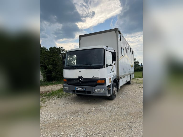 Paardentransportwagen
