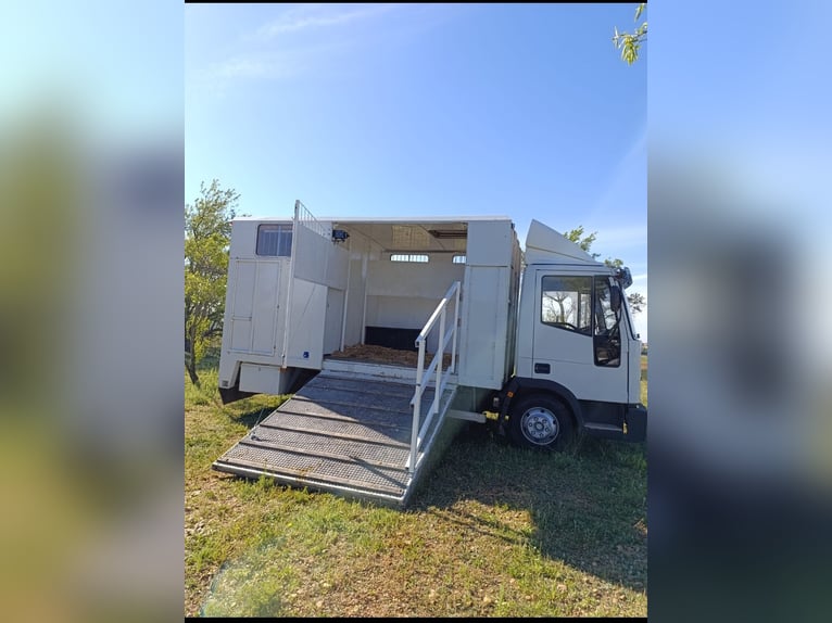 Paardenwagen