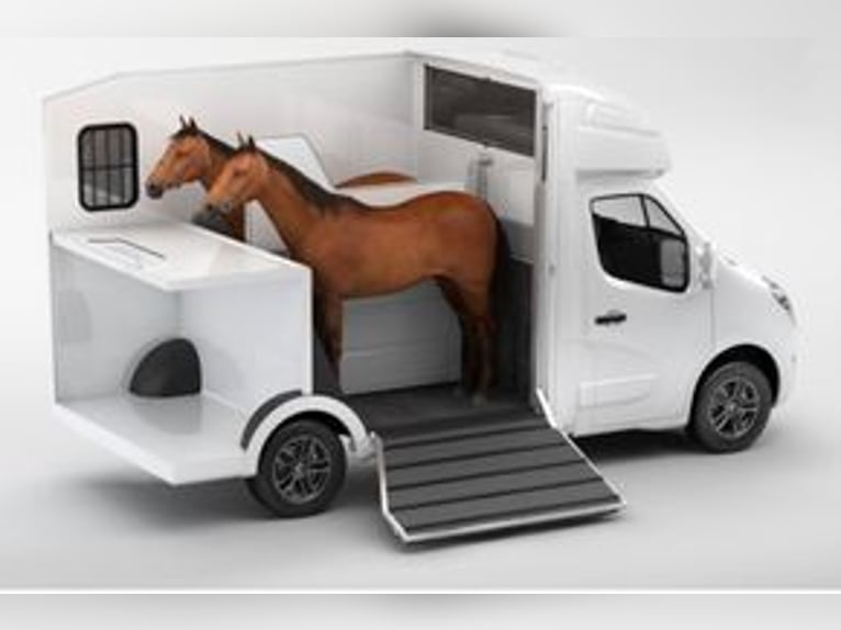 Paragan Equistar 3, Renault Master