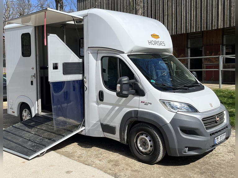 Pferdetransporter Böckmann Fiat Ducato 