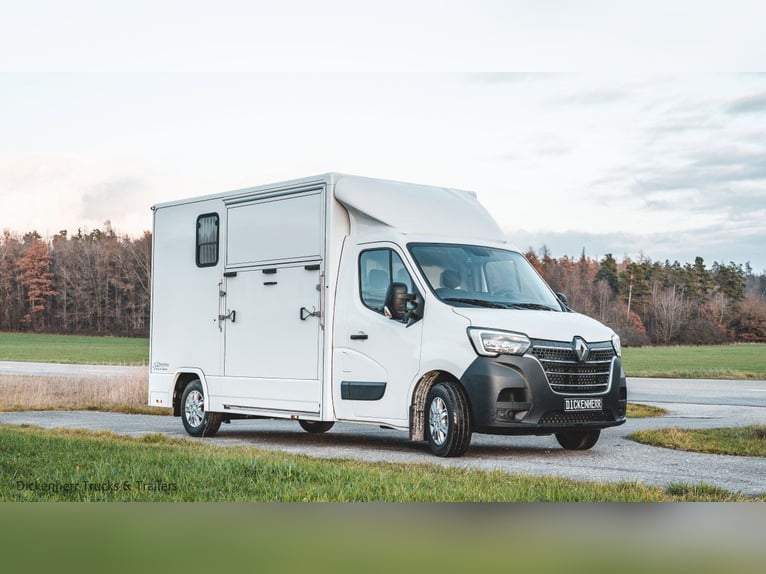 Pferdetransporter-DT 2-Ride Renault Master light 3,5t Neufahrzeug Horsevan Horsetruck B-Führerschein