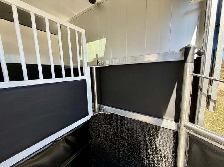 Renault 2-paardenwagen met 5-zitters, hengstenuitvoering, NIEUW vrachtwagen