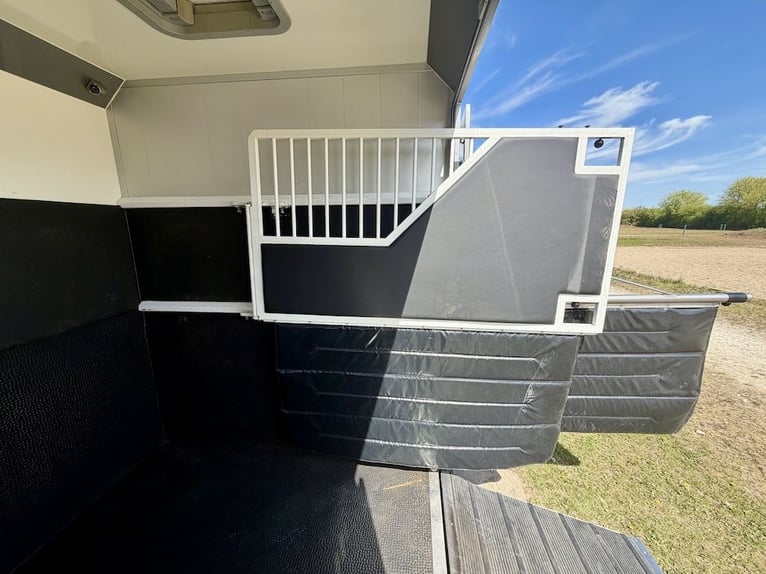 Renault Master EQUITA 2-paards transportwagen 5-zitters Automaat - Gebruikt voertuig