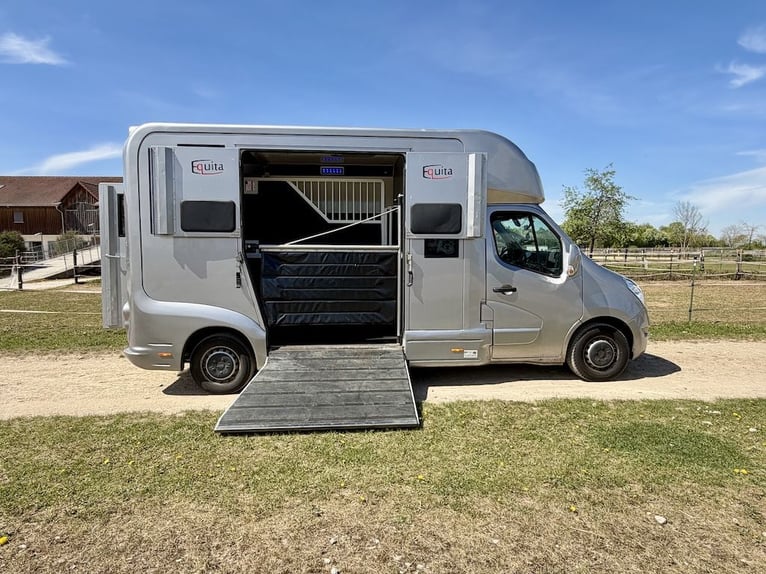 Renault Master EQUITA 2-paards transportwagen 5-zitters Automaat - Gebruikt voertuig