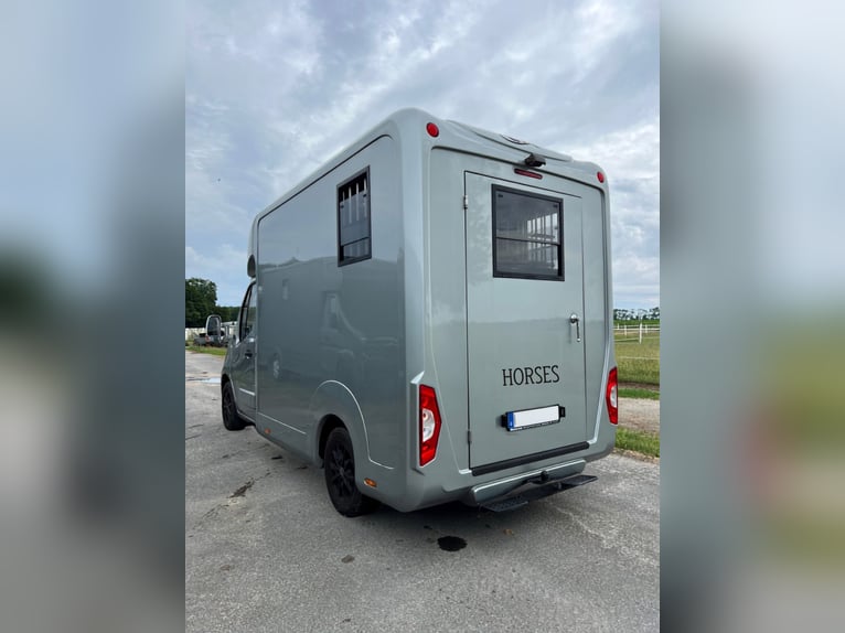 Renault Master STX Paardentransporter