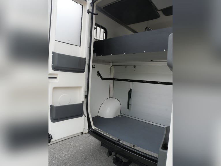 RENAULT Paragan paardentransporter voor eigen gebruik