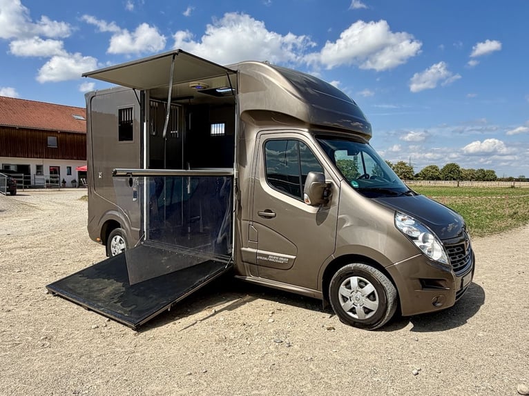 Renault Roelofsen Parados 2-paards transportwagen met automatische transmissie, nieuwe keuring