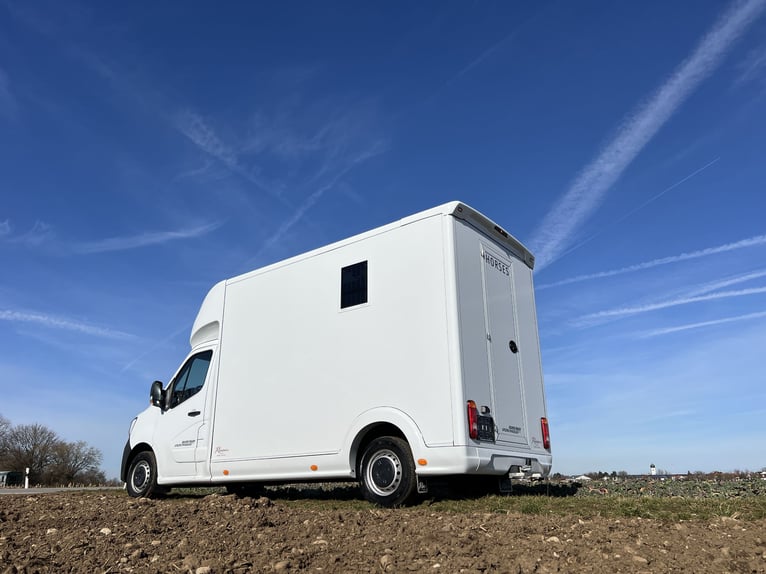 Renault ROELOFSEN YORSE 2-Pferdetransporter SONDERMODELL SOFORT VERFÜGBAR