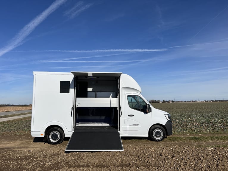 Renault ROELOFSEN YORSE 2-Pferdetransporter SONDERMODELL SOFORT VERFÜGBAR