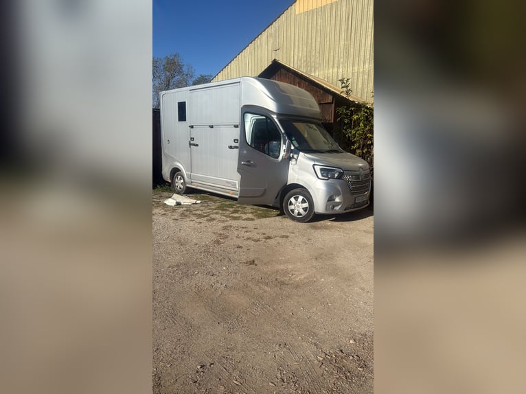 Roelofsen Sport paardentransporter | Renault Master 180 pk | Automaat | Hengstuitrusting