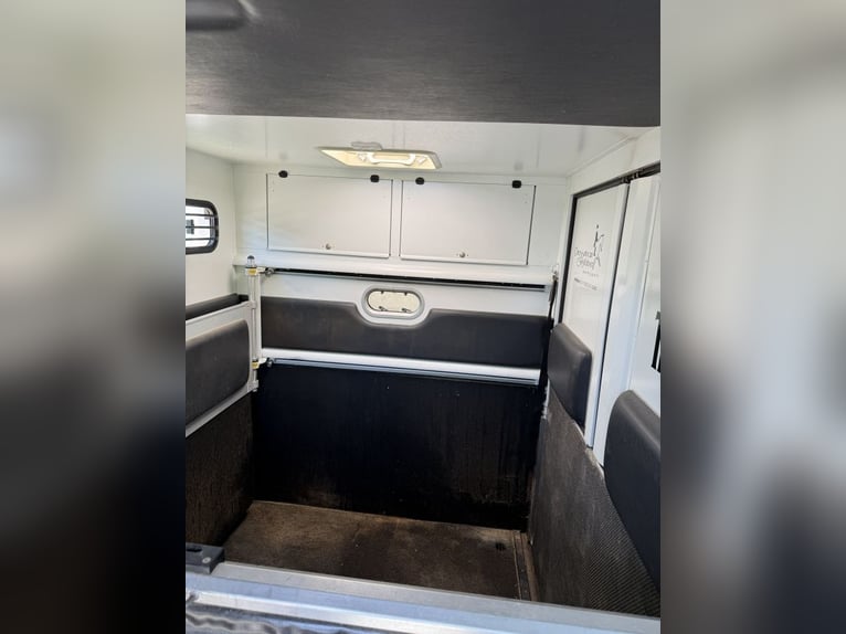 THEAULT PROTEO 3,5 t – 5-zits – slechts 85.000 km – goed onderhouden paardenwagen