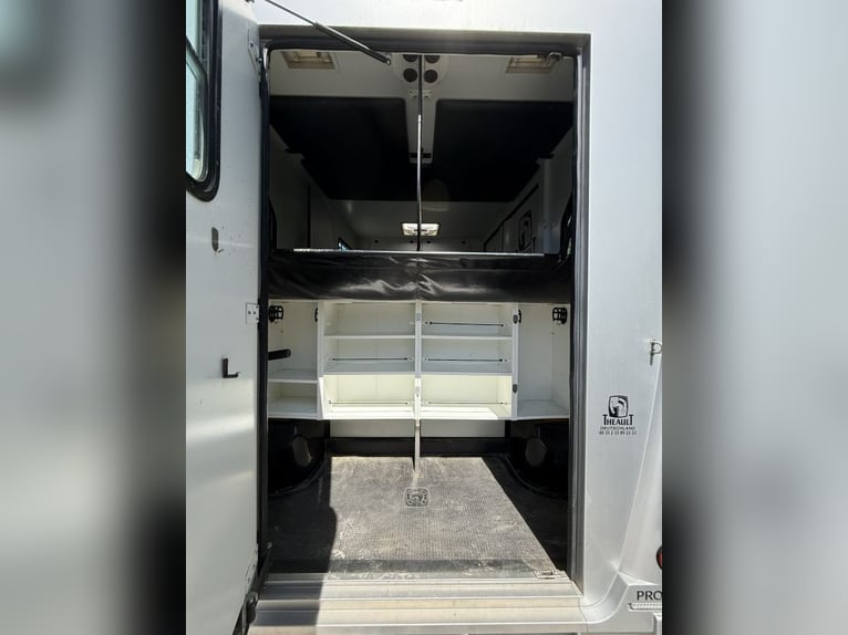 THEAULT PROTEO 3,5 t – 5-zits – slechts 85.000 km – goed onderhouden paardenwagen