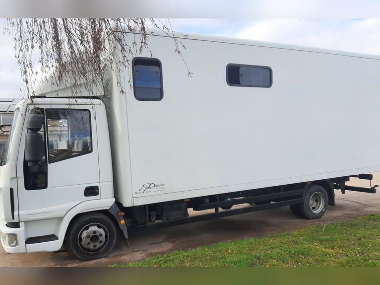 Zeer goed onderhouden IVECO paardentransporter Dickenherr 7,49 ton