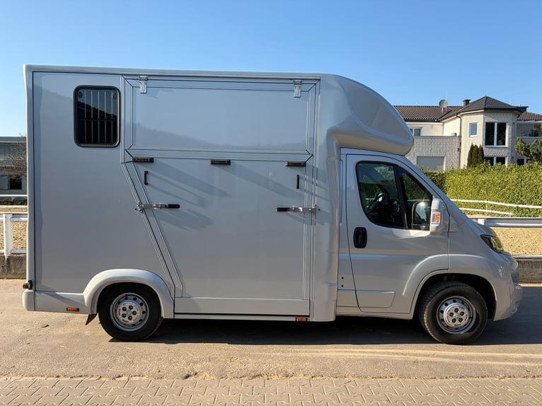 Gebruikte paardentransporter in topstaat