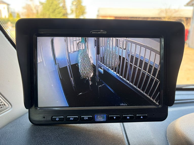 Gebruikte paardentransporter in topstaat