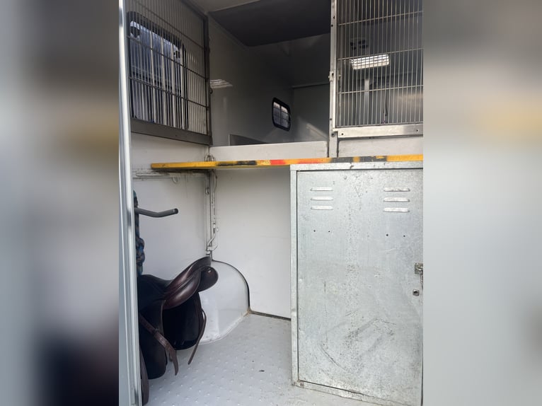 Geweldige paardentransporteur Renault MTM