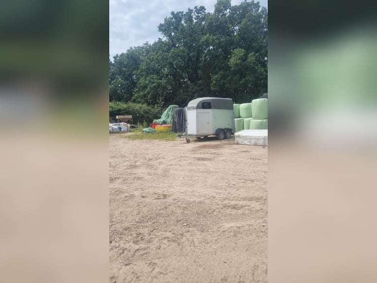 Humbaur Xantos 2er Pferdeanhänger mit Sattelkammer Humbaur Xantos 2er Pferdeanhänger mit Sattelkammer