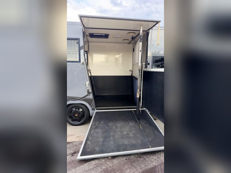 2 paards vrachtwagen te koop!
