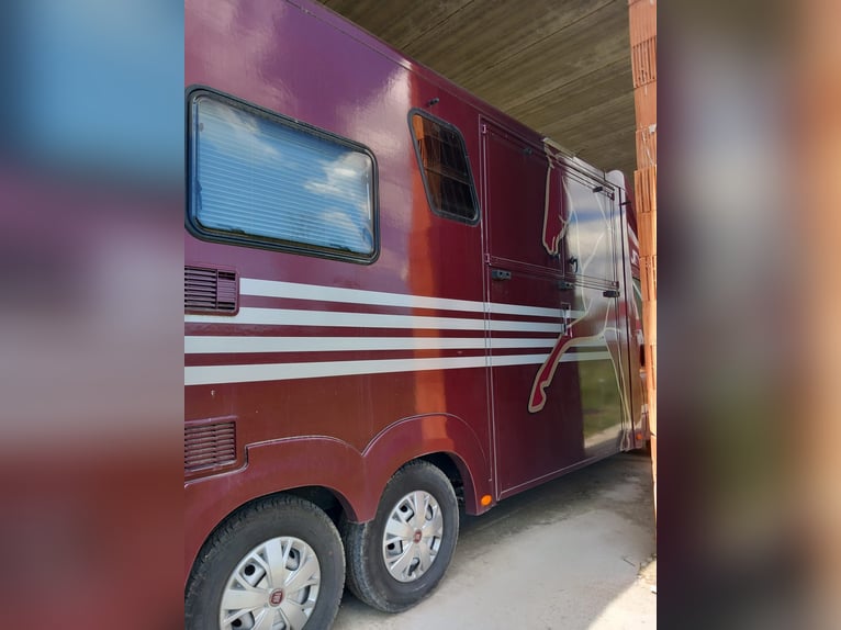5-t Bloomfield 2 paardenwagen met woonruimte